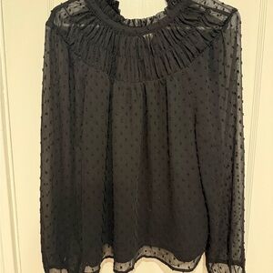 Black Sheer Blouse with Textured Detail